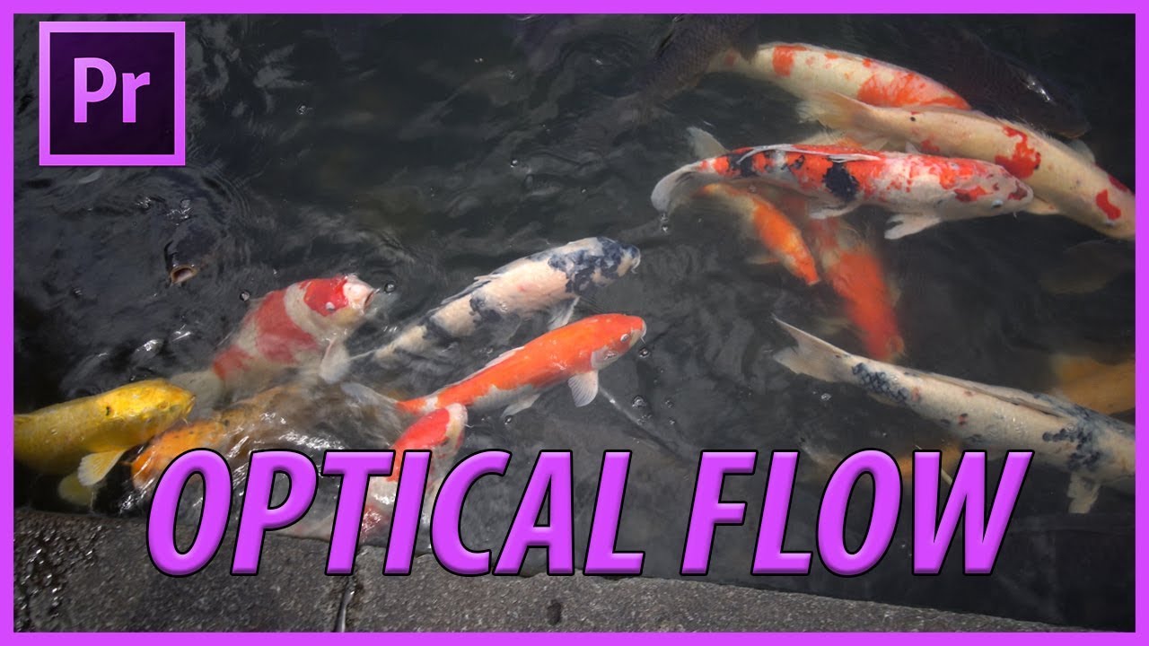 How to Use Optical Flow in Adobe Premiere Pro CC (2019)