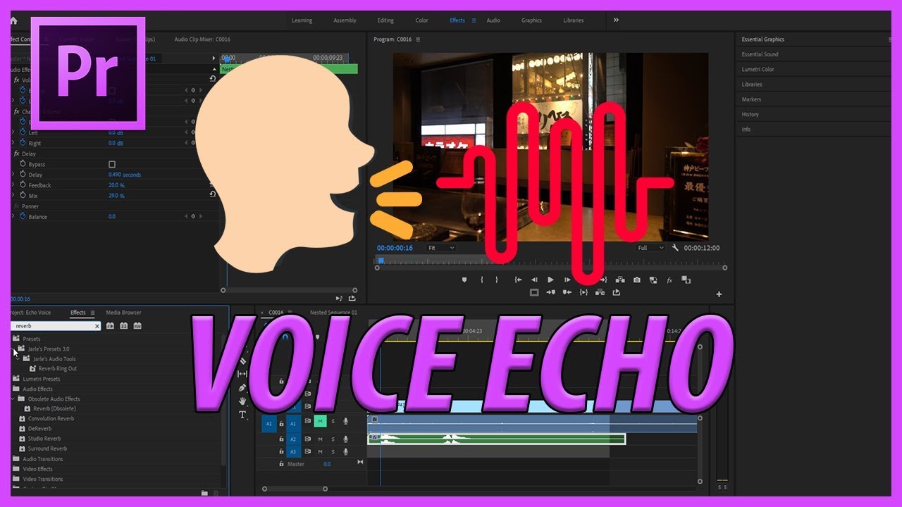How to Add Voice Echo in Adobe Premiere Pro CC 2019